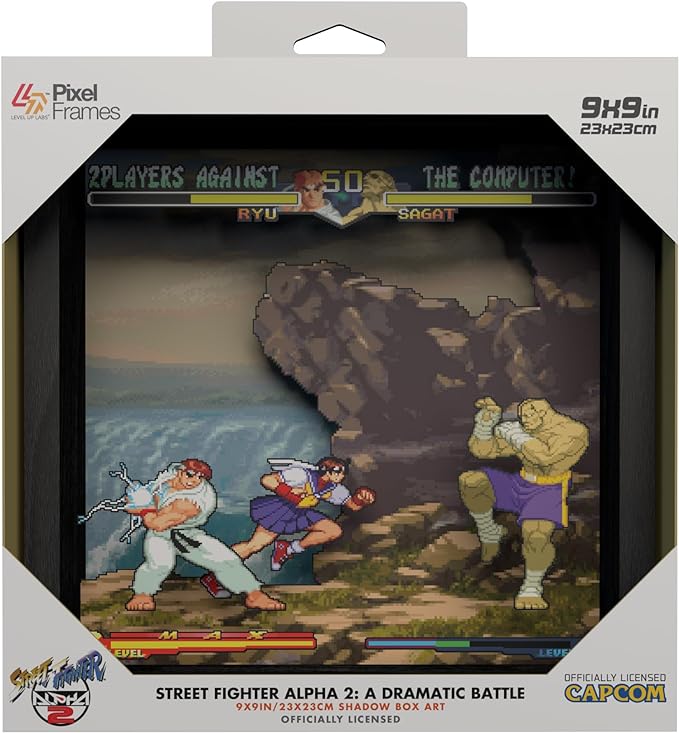 Pixel Frames - Street Fighter 2 Alpha: A dramatic battle