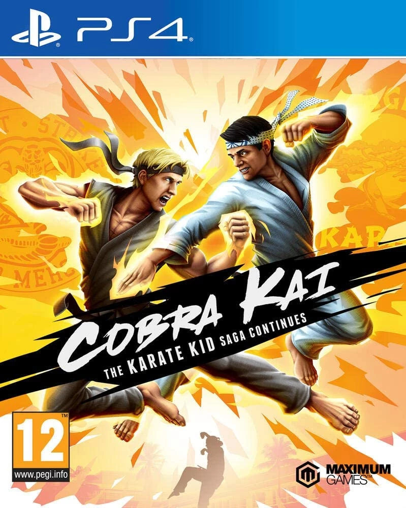 Cobra Kai - the Karate Kid Saga Continues