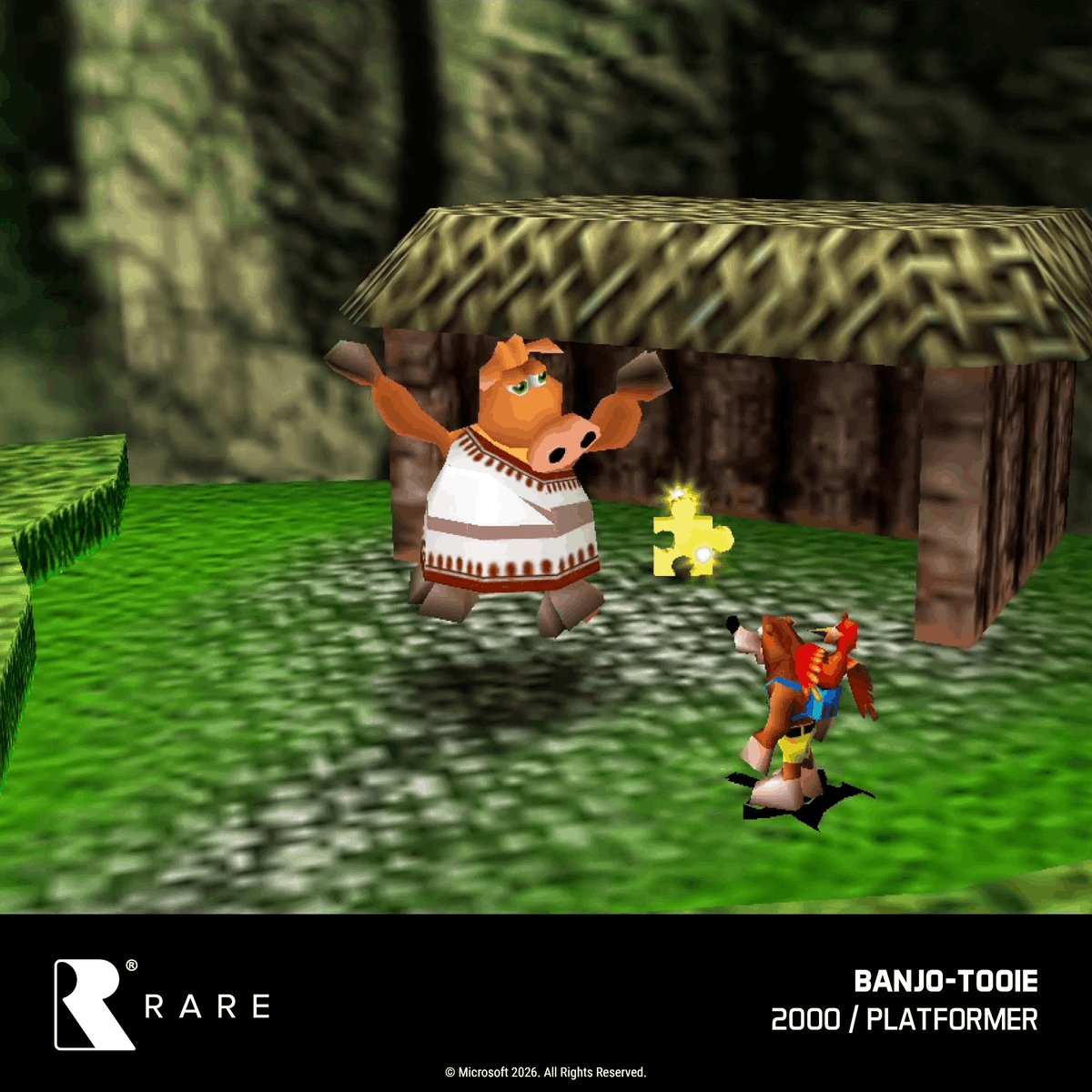 EVERCADE Nexus + Banjo - Kazooie Double Pack + Case - Gamesellers.nl