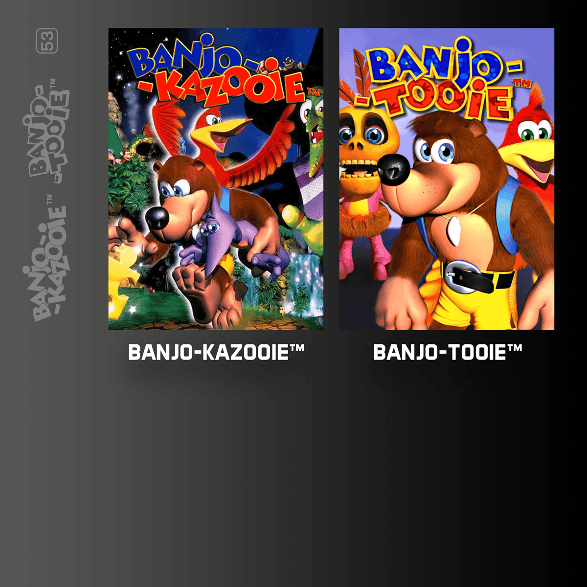 EVERCADE Nexus + Banjo - Kazooie Double Pack + Case - Gamesellers.nl