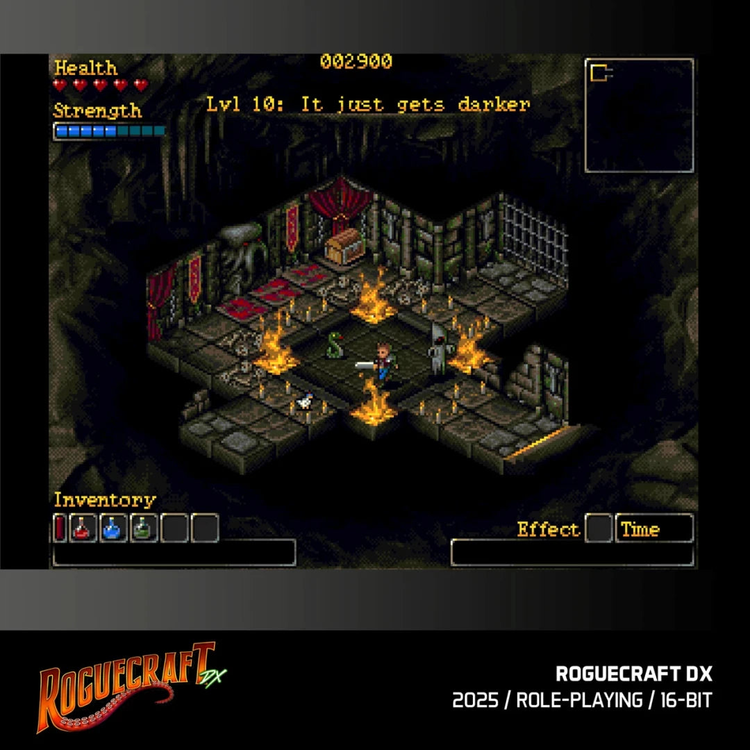 Evercade Roguecraft DX