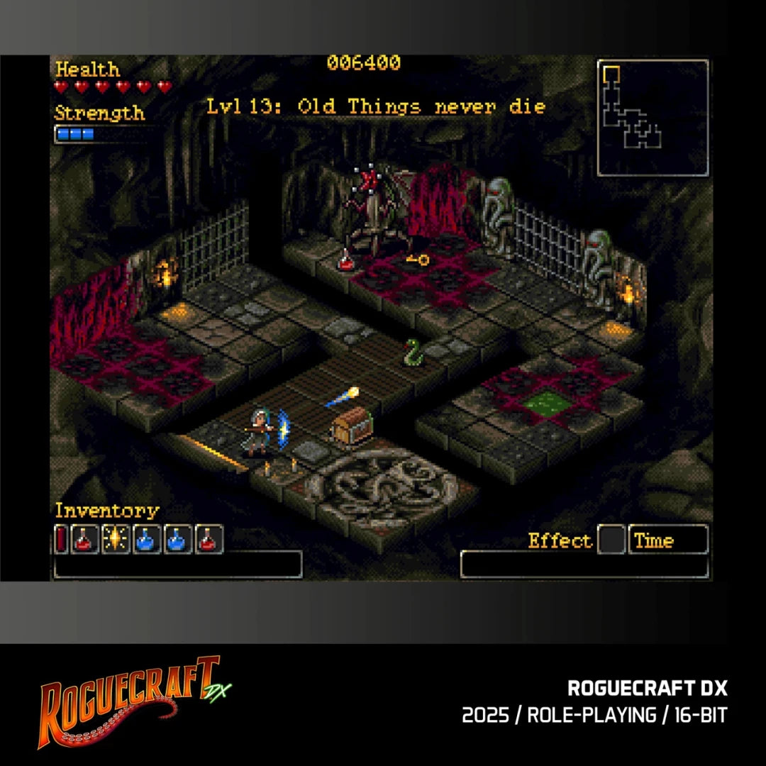 Evercade Roguecraft DX