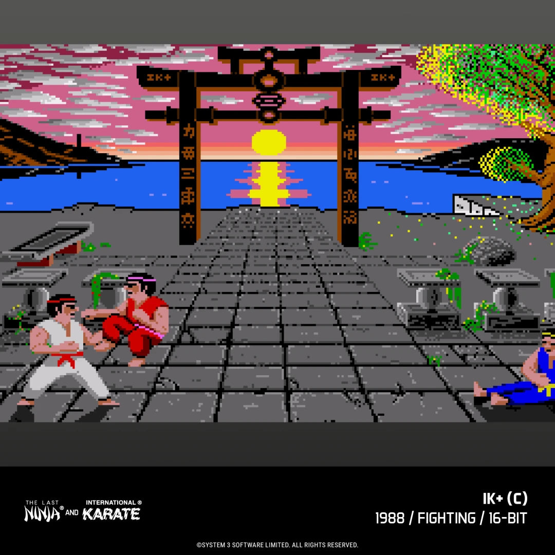 The Last Ninja and IK Collection