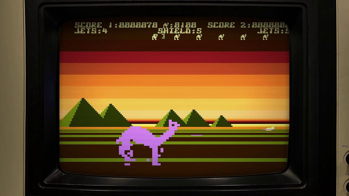 Llamasoft The Jeff Minter Story