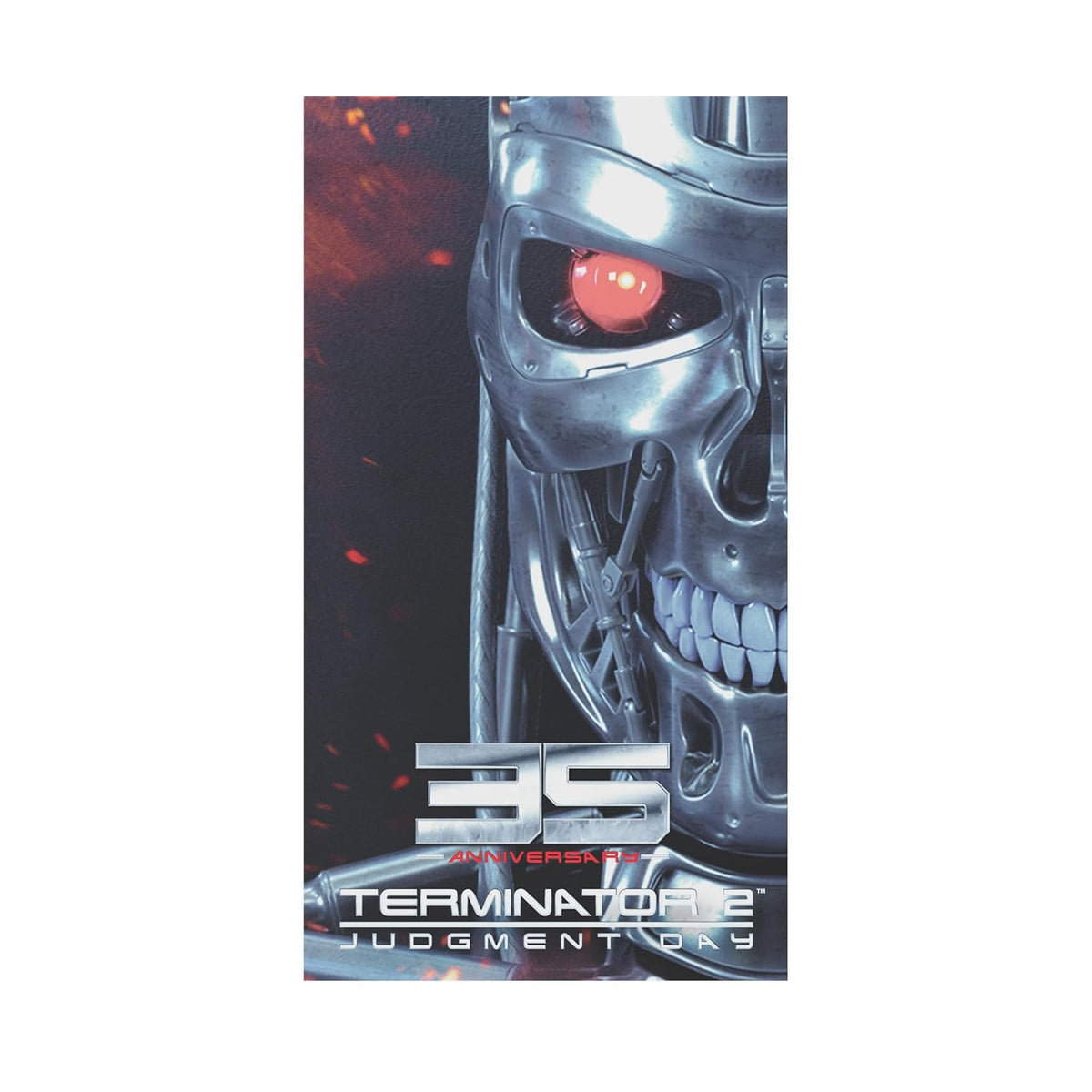 Retro Fighters Terminator 2 VHS Switch Game Case - Gamesellers.nl